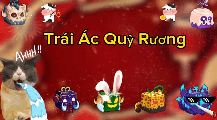Trái Ác Quỷ Rương